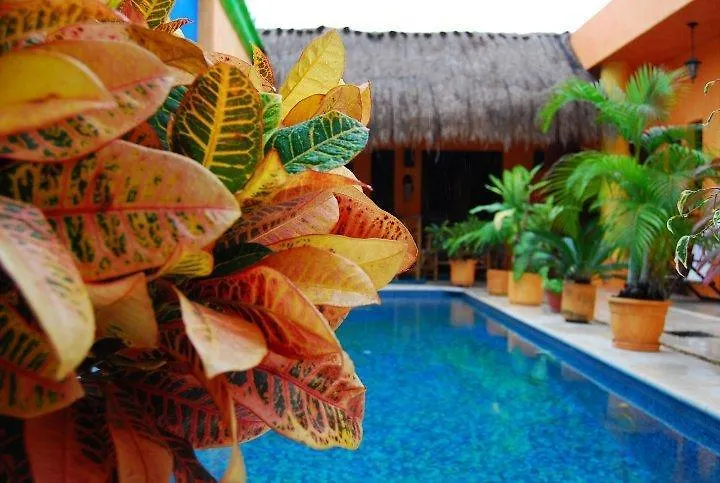 ***  Casita De Maya Boutique Hotel Cozumel Mexico