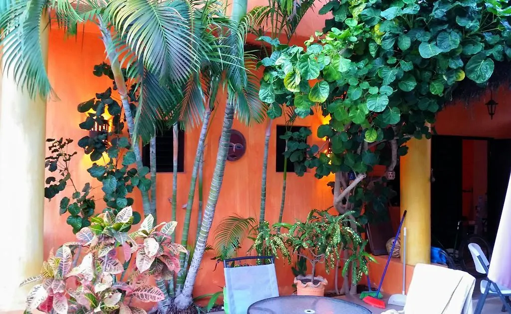 Casita De Maya Boutique Hotel Cozumel Mexico