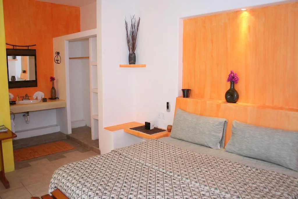 Casita De Maya Boutique Hotel Cozumel Mexico